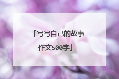 写写自己的故事作文500字