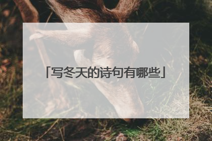 写冬天的诗句有哪些