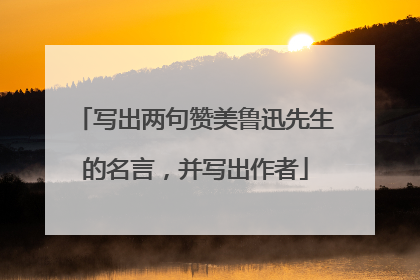写出两句赞美鲁迅先生的名言,并写出作者