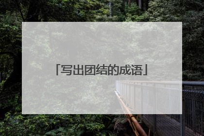 写出团结的成语