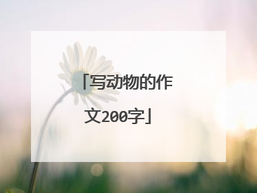 写动物的作文200字