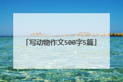 写动物作文500字5篇