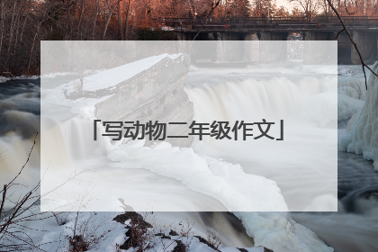 写动物二年级作文