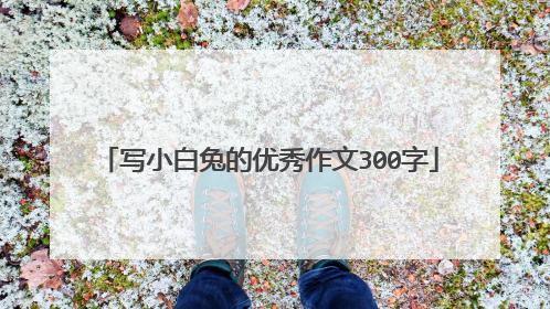 写小白兔的优秀作文300字