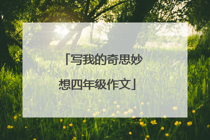 写我的奇思妙想四年级作文