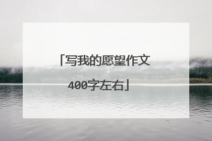 写我的愿望作文400字左右