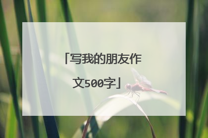 写我的朋友作文500字