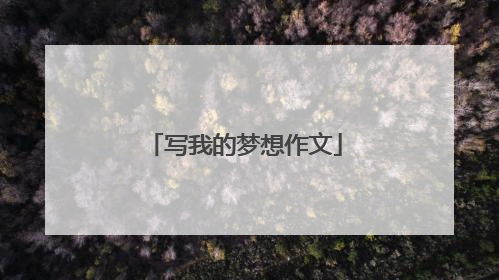 写我的梦想作文