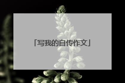 写我的自传作文