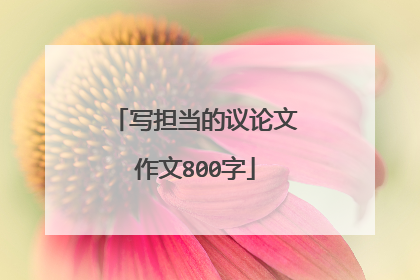 写担当的议论文作文800字