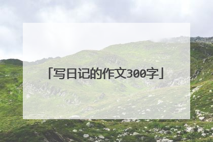 写日记的作文300字