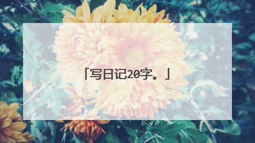 写日记20字。