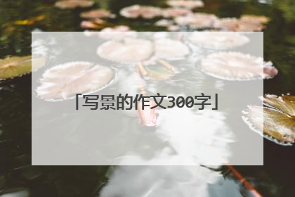 写景的作文300字