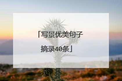 写景优美句子摘录40条