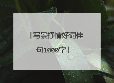 写景抒情好词佳句1000字