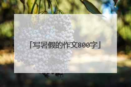 写暑假的作文800字