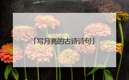 写月亮的古诗诗句