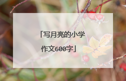 写月亮的小学作文600字