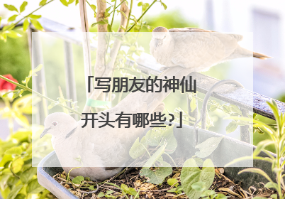 写朋友的神仙开头有哪些?