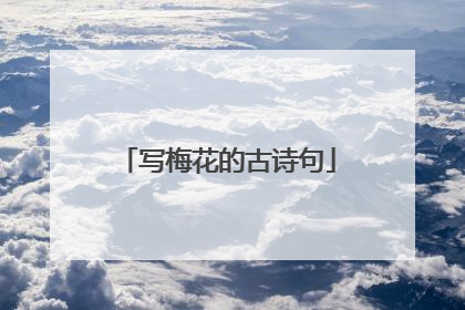 写梅花的古诗句