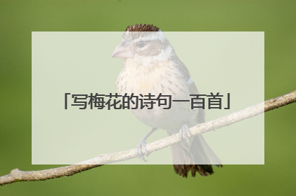 写梅花的诗句一百首