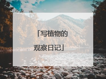写植物的观察日记