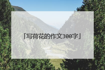 写荷花的作文300字