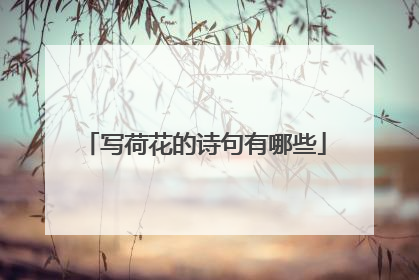 写荷花的诗句有哪些