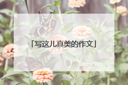 写这儿真美的作文