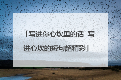 写进你心坎里的话 写进心坎的短句超精彩