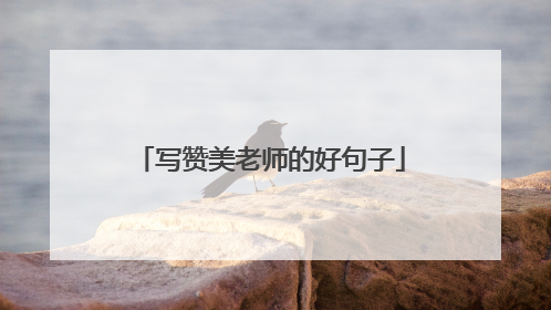 写赞美老师的好句子