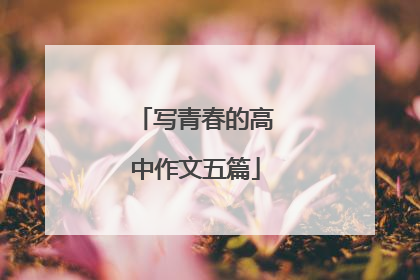 写青春的高中作文五篇