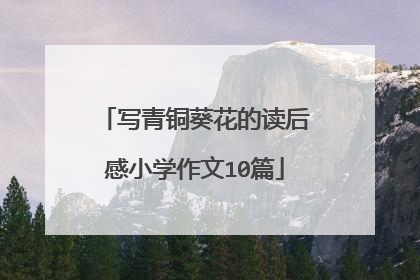 写青铜葵花的读后感小学作文10篇