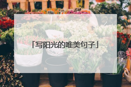 写阳光的唯美句子