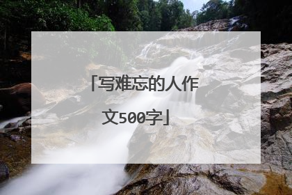 写难忘的人作文500字