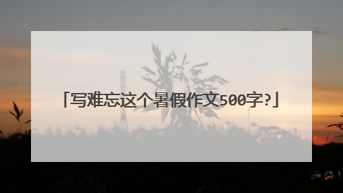 写难忘这个暑假作文500字?