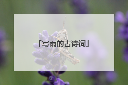 写雨的古诗词