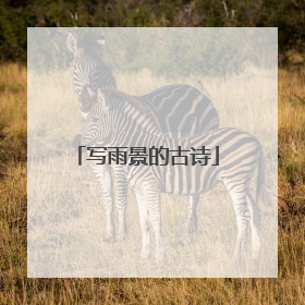 写雨景的古诗