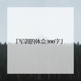 军训的体会300字