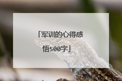 军训的心得感悟500字