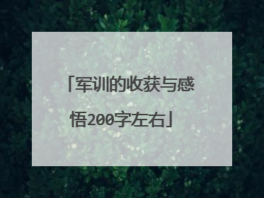 军训的收获与感悟200字左右
