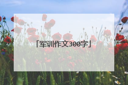 军训作文300字