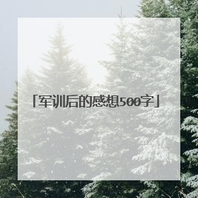 军训后的感想500字