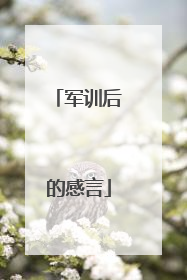 军训后的感言