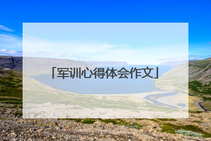 军训心得体会作文