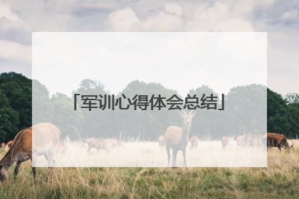 军训心得体会总结