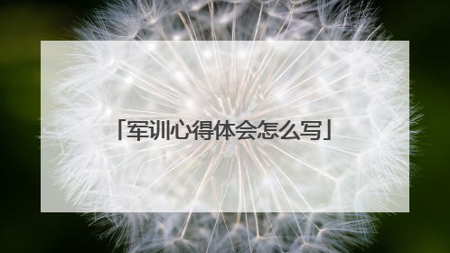 军训心得体会怎么写