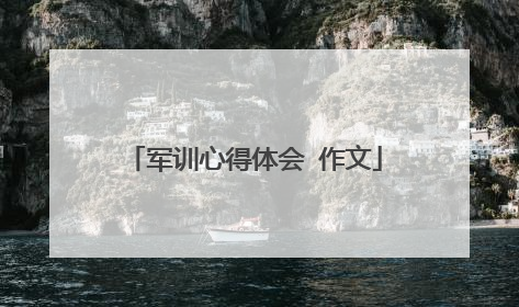 军训心得体会 作文