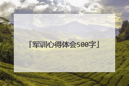 军训心得体会500字