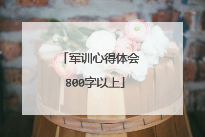 军训心得体会800字以上